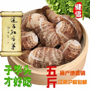 建昌红香芋正宗建昌香芋头新鲜芋艿毛芋头农家自种蔬菜5斤常州