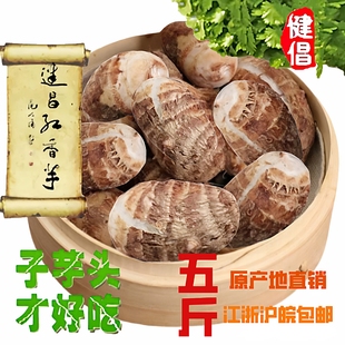 建昌红香芋正宗建昌香芋头新鲜芋艿毛芋头农家自种蔬菜5斤常州