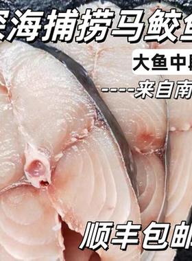 广东湛江特产切片冰鲜纯中段马鲛鱼新鲜冷冻鲅鱼深海捕捞南海鱼