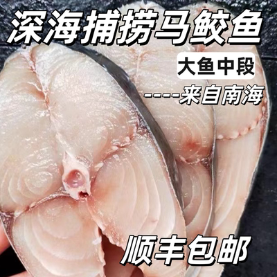 广东湛江特产切片冰鲜纯中段马鲛鱼新鲜冷冻鲅鱼深海捕捞南海鱼