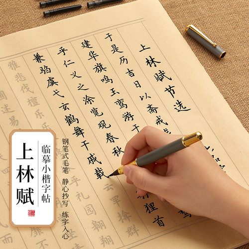 成人软笔书法入门钢笔式毛笔字帖