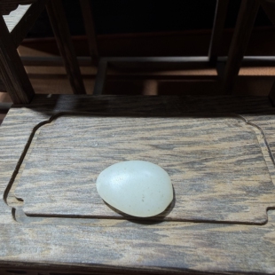 已抢完福利~新疆和田白玉籽料原石吊坠玉石雕刻和田玉18:00抢拍