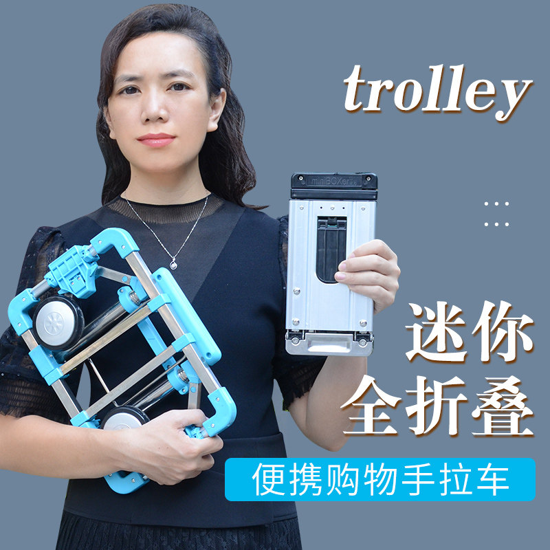 可折叠便携手拉车购物买菜迷你小拉车超小家用拉货拖车行李拉杆车