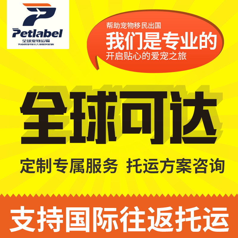 国际宠物托运美国加拿大新加坡澳洲宠物出回国手续办理猫狗出入境