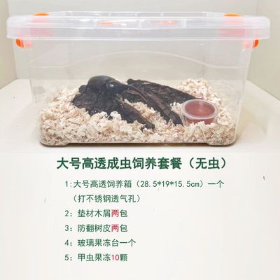 爬虫甲虫亚克力饲养箱蜘