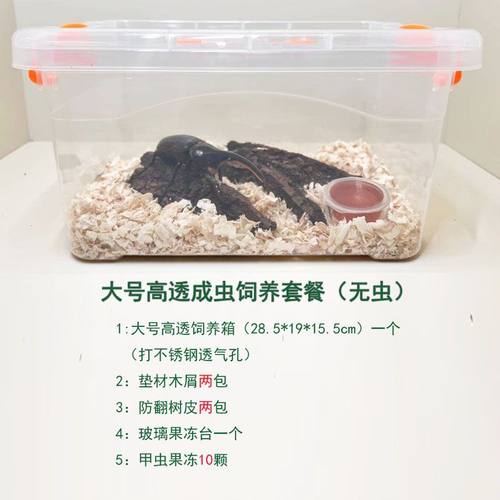 爬虫甲虫亚克力饲养箱蜘