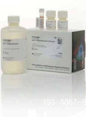 议价Qubit™ dsDNA 定量试剂盒详谈