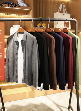 100%绵羊毛2025春秋季重磅纯羊毛翻领针织开衫男叠穿打底毛衣9309