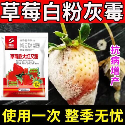 草莓专用药草莓死苗烂根农用杀菌剂白粉病灰霉病烂果病农作物通用