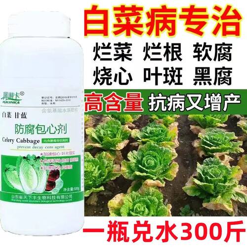 白菜专用药白菜病全治白菜白斑病叶斑病软腐病烂根烧心防腐包心剂