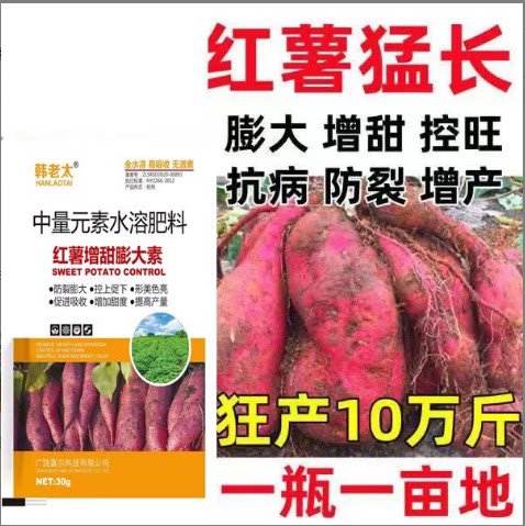 红薯地下猛长膨大素红薯控旺增产防裂果控旺膨大素叶面肥膨大剂
