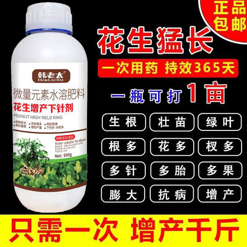 花生分杈下针剂窝窝多花生高产必用开花多下针多粒粒饱抗病增产