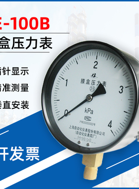 YE-100B不锈钢膜盒压力表 垂直安装 不锈钢材质 IP64防护 2.5级