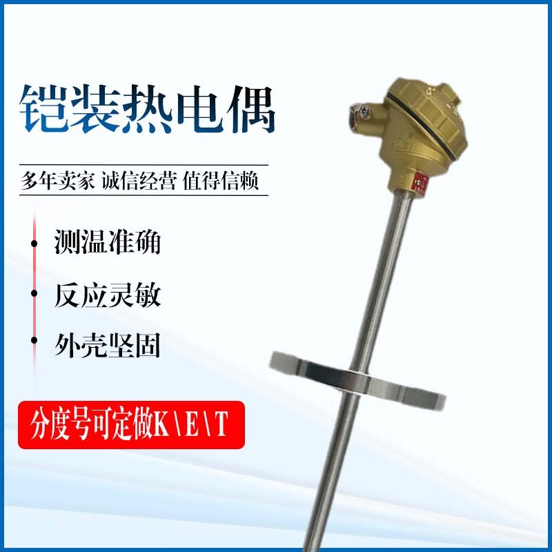 铠装热电偶不锈钢法兰