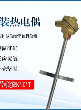 WREK2-431铠装热电偶 E分度号双支 不锈钢  法兰连接 温度传感器