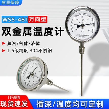 WSS-481/411工业径向不锈钢底座高温定制万向双金属温度计高精准