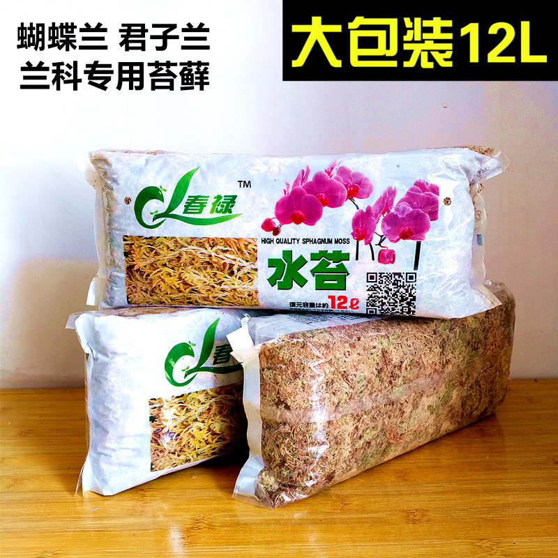 干水苔苔藓蝴蝶兰专用土优质兰花无土栽培基质保湿透气营养土陶粒
