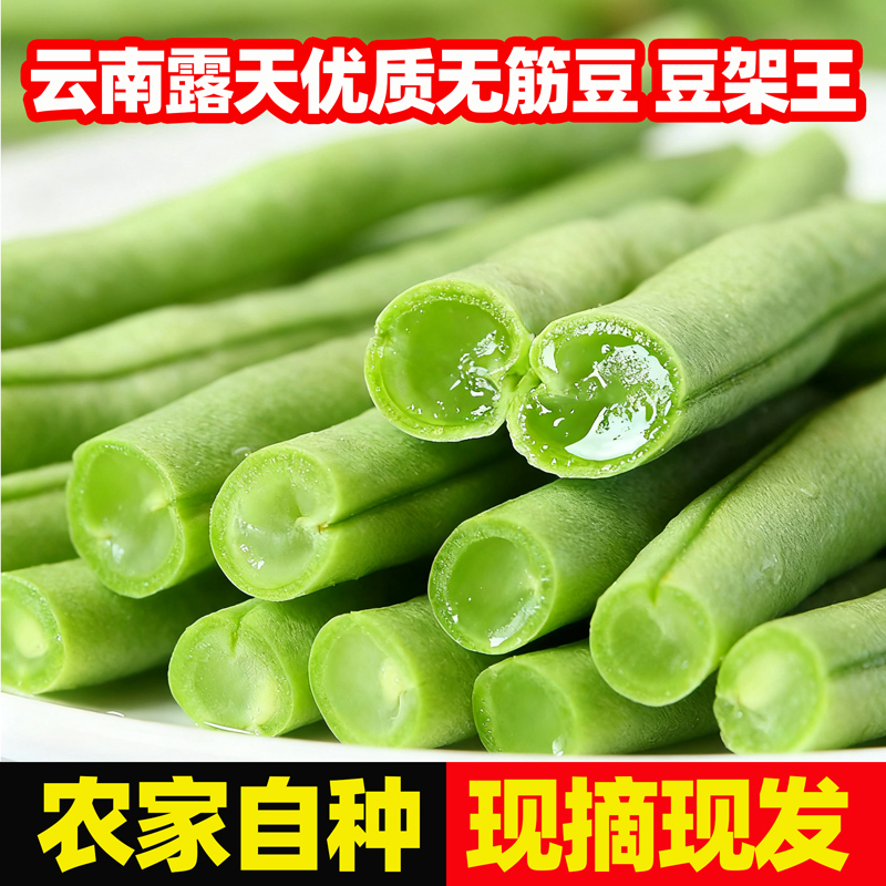 云南无筋豆新鲜当季农家时令蔬菜