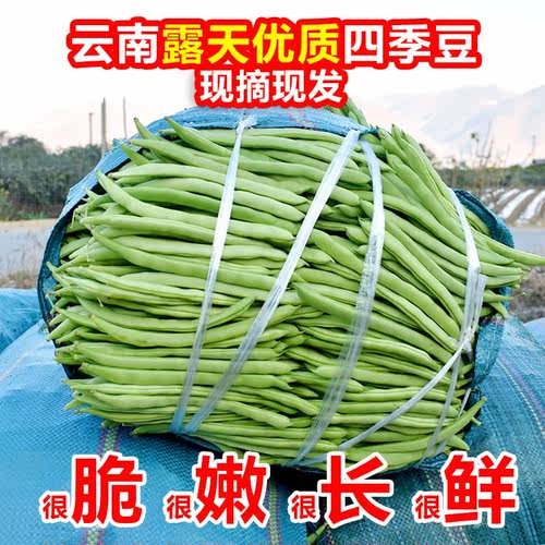 新鲜四季豆角露天种植农家当季应季生鲜蔬菜整箱批 - 封面