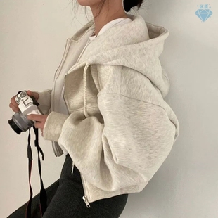 Sweatshirt 2023 Autumn Women Korean Hooded Winter Long Solid