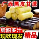 广西黑皮甘蔗新鲜水果当季 杆蔗孕妇果蔗脆甜多汁产地直发龙州甘蔗