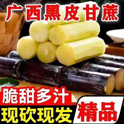 龙州黑甘蔗产地直发新鲜