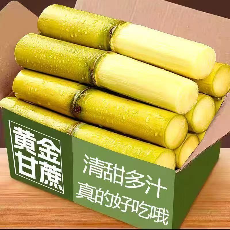 广西新鲜上市黄皮甘蔗水果甘蔗现砍现发特产榨汁应季甘蔗广西水果
