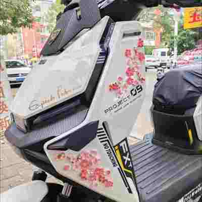 适用小牛FX/T电动车桃花
