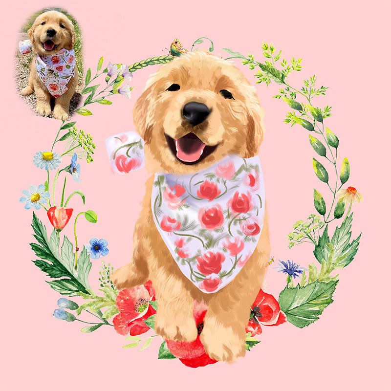 宠物手绘定制头像q版卡通猫狗约稿来图设计图案漫画动物油画肖像