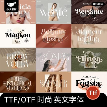 高级感英文字体procreate/ps/ai艺术时尚花体字体包设计素材下载