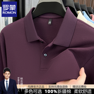 罗蒙男士纯棉长袖polo衫春秋季新款爸爸装百搭全棉打底T恤中青年