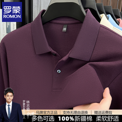 罗蒙男士纯棉长袖polo衫春秋新款