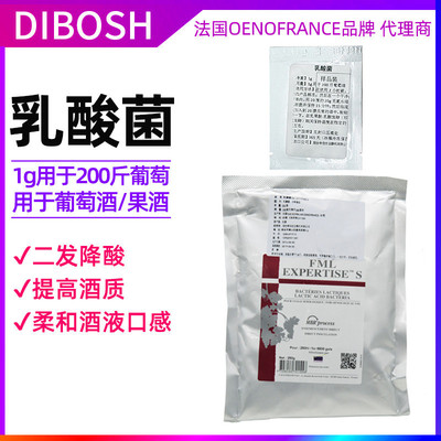 乳酸菌粉发酵素葡萄酒苹果酸法国进口家用二发测辅料试纸降酸新款