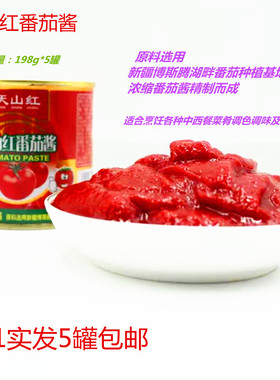 天山红番茄酱 198g发5罐Tomato paste 新疆原装番茄 绿色食品家用