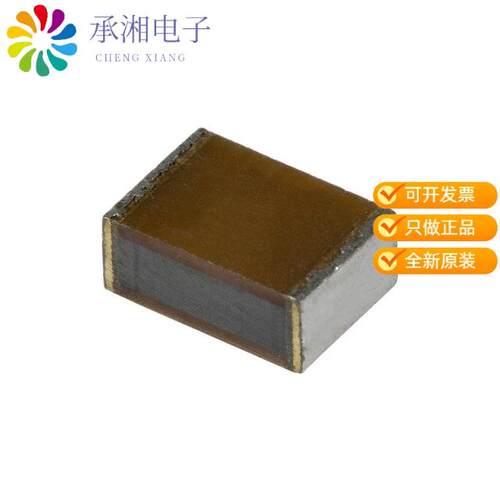 全新ECH-U1104JC9正品CAP FILM 0.1UF 5% 100VDC 2820