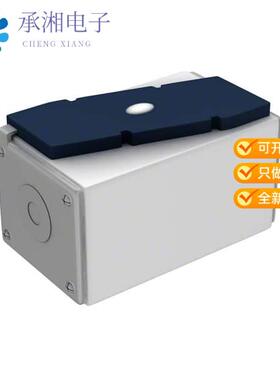 正品170M4396原装FUSE SQUARE 550A 1.3KVAC RECT