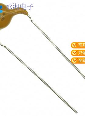 全新VY1102M35Y5UQ63V0正品CAP CER 1000PF 760VAC Y5U