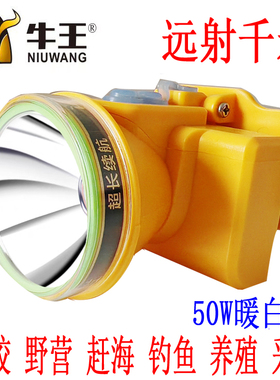 牛王头灯新款强光超亮头戴式照明灯 户外超长续航夜钓灯手电筒A53