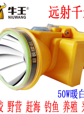 超强远射超强防水头灯牛王续航久