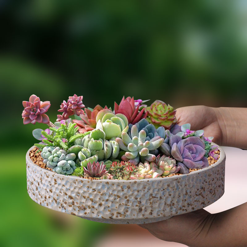 陶瓷简约锤纹高大上拼盘