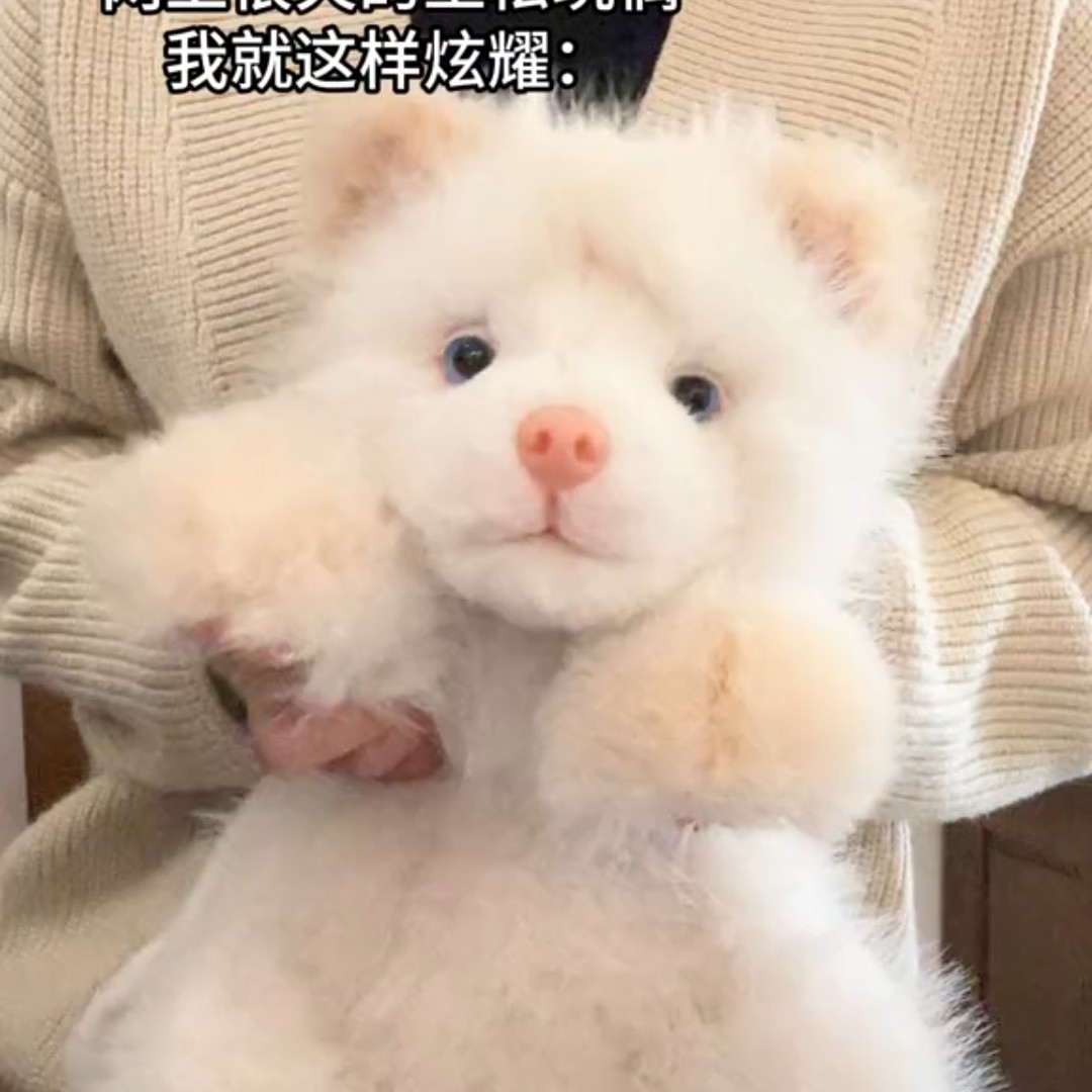 麦扣羊土松狗狗包毛绒仿真小狗双肩背包女生儿童元旦新年礼物