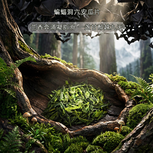 2026蝙蝠洞口六安瓜片50g