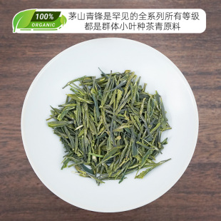 2026雨前茅山青锋二级 群体小叶种 花果香绿茶 散装240g