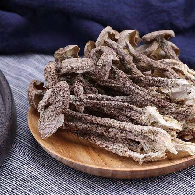 新货特级精选优质鹿茸菇脆脆菇250g500g包邮打火锅优选搭配鹿茸菇