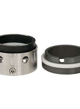 BESPLE59U-22/28/32/40/50/53/60/65/70/80/90四氟石墨碳化硅密封