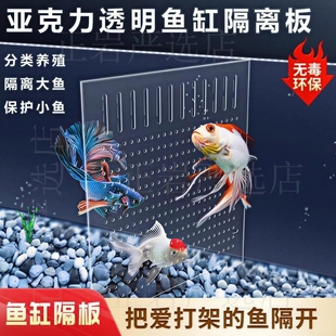 鱼缸内隔离网鱼缸混养隔离网生小鱼专用分离式隔板繁殖小鱼苗产房
