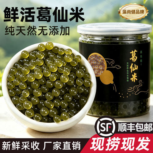 鲜活葛仙米家常食补胶质厚Q弹