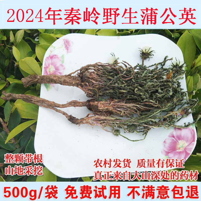 2024年新货野生蒲公英带根茶草药500g整颗干婆婆丁叶子蒲公英花茶 传统滋补营养品 其他药食同源食品 原图主图