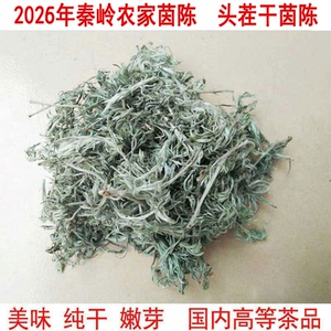 野生茵干茵陈中草药二月绵茵陈