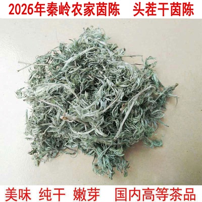 野生茵干茵陈中草药二月绵茵陈